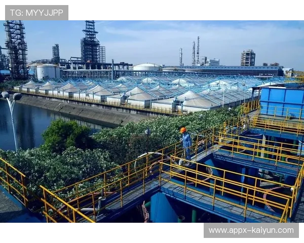 中国跳水队科研团队不断壮大多学科协同助力打造世界顶级训练体系